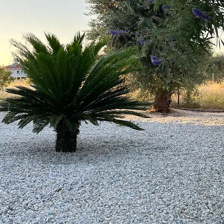 Zeytin - Private Pool Vasilia