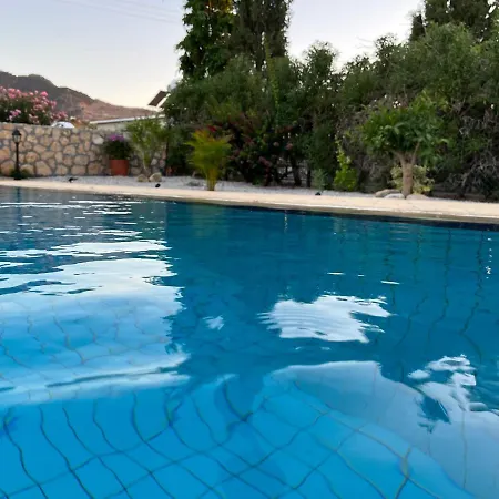 Zeytin - Private Pool