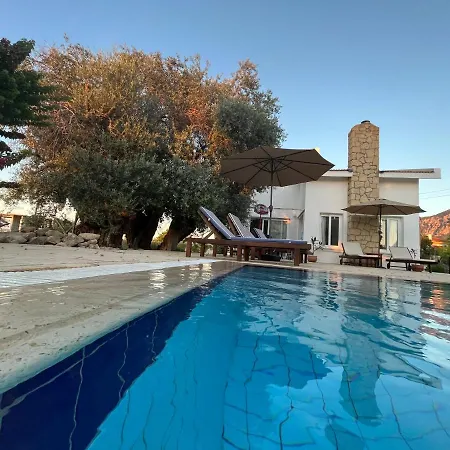 Villa Zeytin - Private Pool Vasilia