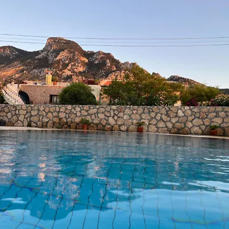 Zeytin - Private Pool Vasilia