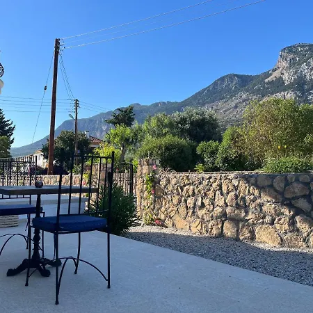 Zeytin - Private Pool Vasilia