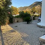 Zeytin * Vasilia