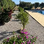 Zeytin Villa Vasilia