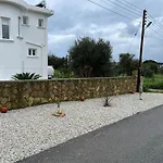 Zeytin Vasilia