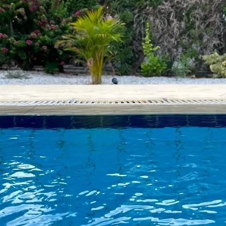 Villa Zeytin Vasilia