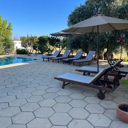 Villa Zeytin Vasilia