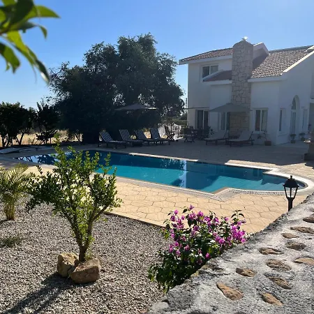 Zeytin - Private Pool Vasilia