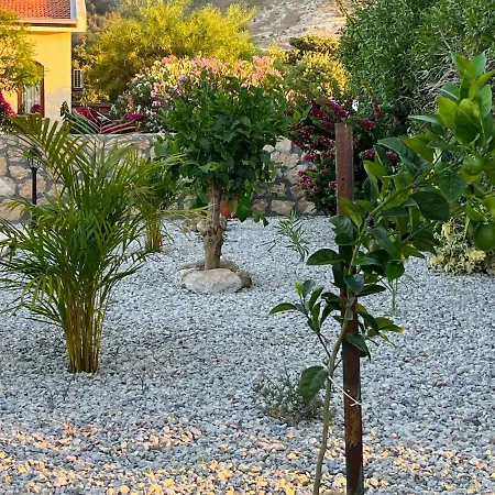 Zeytin - Private Pool Vasilia