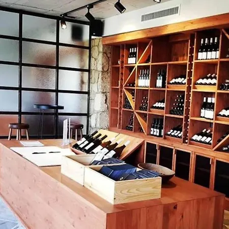 Villa Zeytin Vasilia