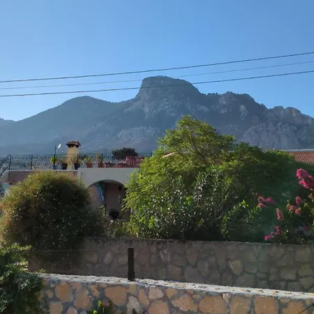 Zeytin Villa *