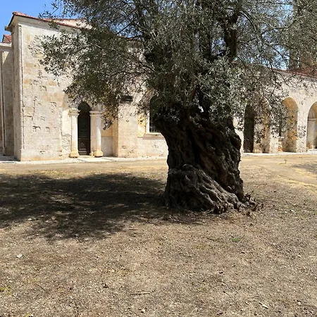 Zeytin Villa *