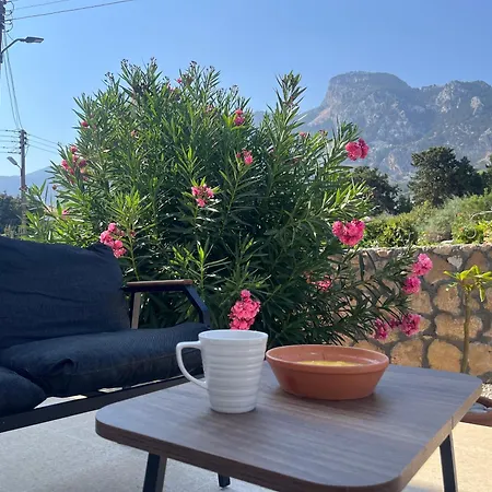 Zeytin - Private Pool Villa