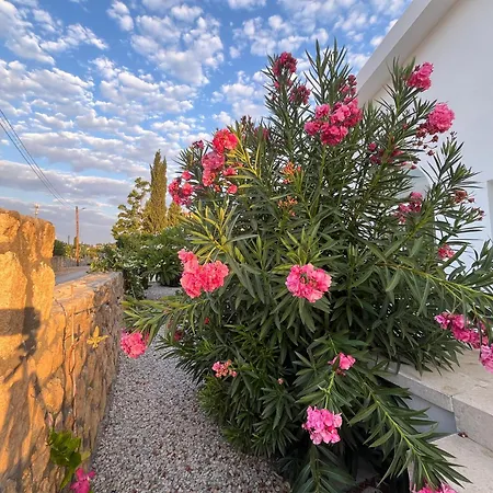 Zeytin - Private Pool *