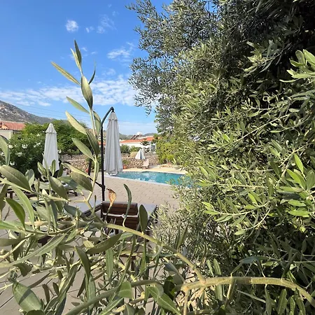Zeytin - Private Pool