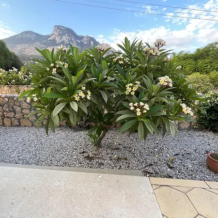 Zeytin - Private Pool