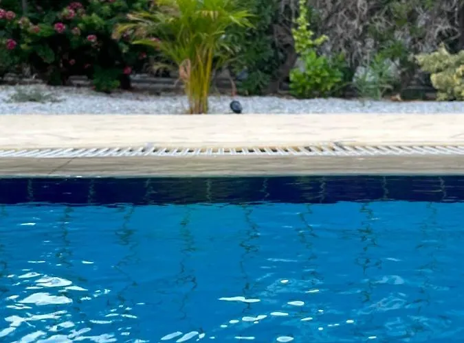 Villa Zeytin Vasilia