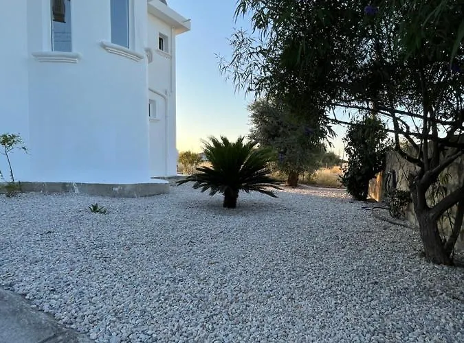 ヴィラ Zeytin Vasilia