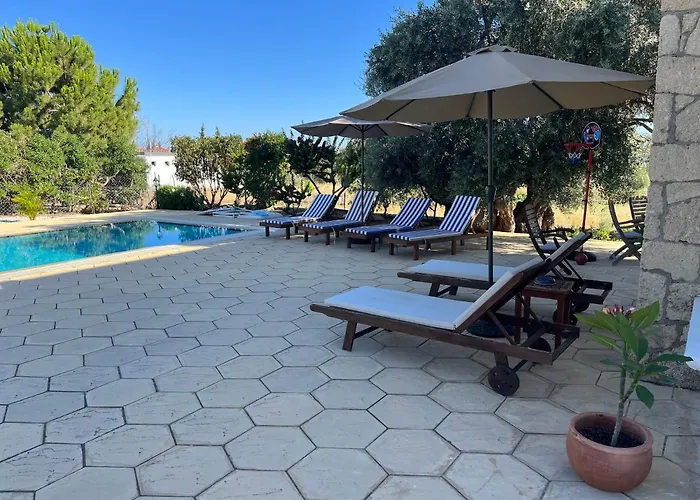 Villa Zeytin Vasilia