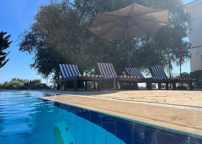 Zeytin Villa