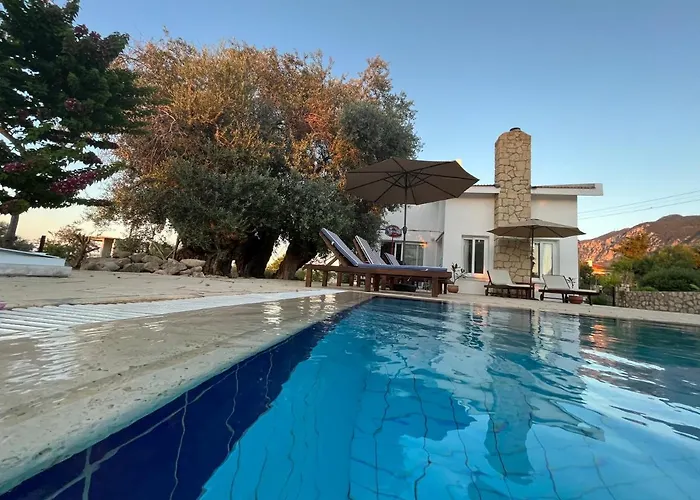 ヴィラ Zeytin Vasilia