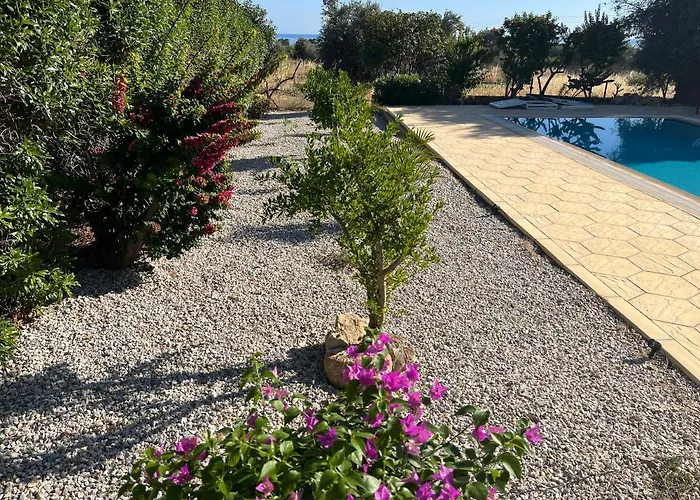 Zeytin ヴィラ Vasilia